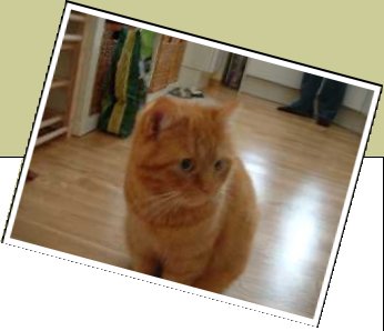 Bild : Leo
